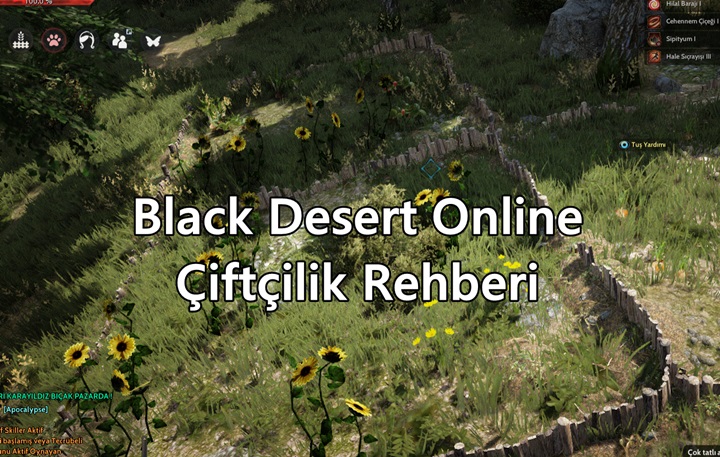 Black Desert Online Çiftçilik Rehberi (Tüm Ayrıntıları)