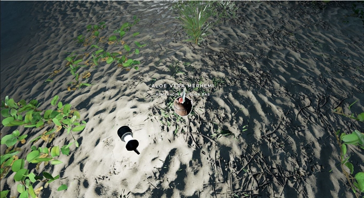 Stranded Deep Aloe Vera Merhemi Nasıl yapılır?