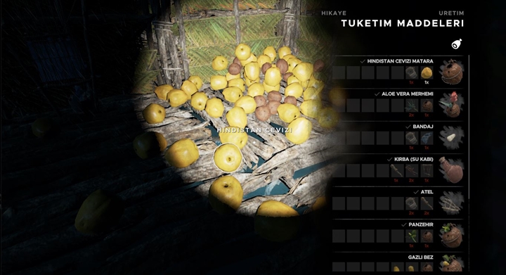 Stranded Deep Hindistan Cevizi Matara