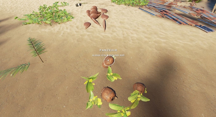 Stranded Deep Panzehir Nasıl Yapılır?
