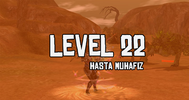 Metin2 Hasta Kardeş (Hasta Muhafız) Görevi Nasıl Yapılır? Level 22