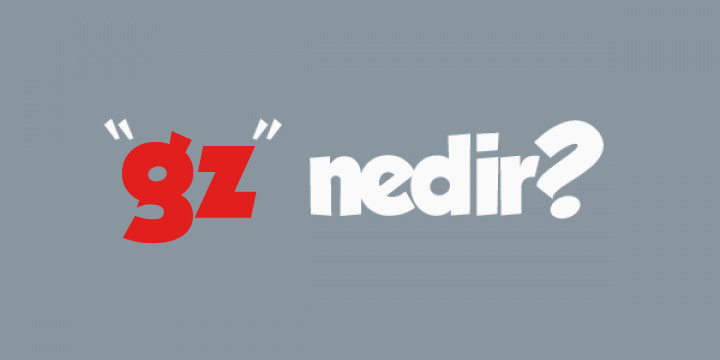 GZ Ne Demek ? Ne Anlama Gelir?
