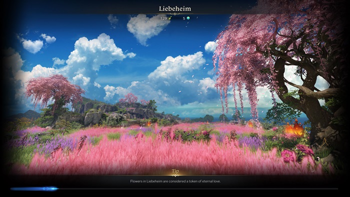Lost Ark Liebeheim Mokoko Seeds Noktaları