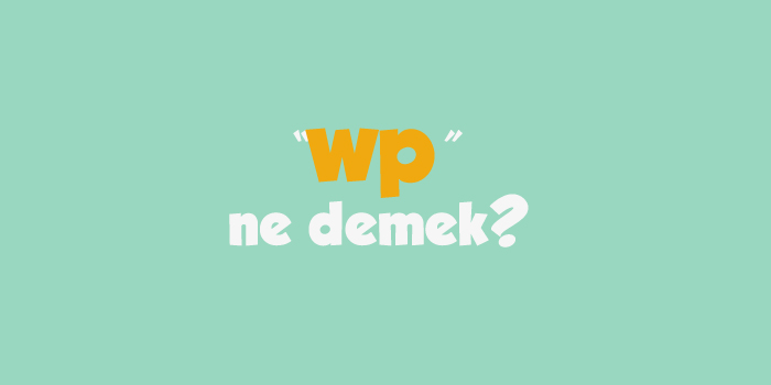 Wp Ne Demek? Anlamı Nedir?