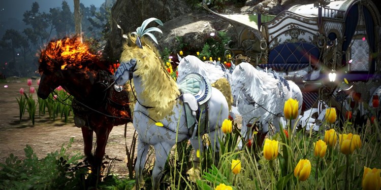 Bdo At Nasıl Çiftleştirilir?