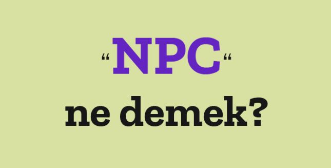 NPC Ne Demek ? Anlamı Nedir?