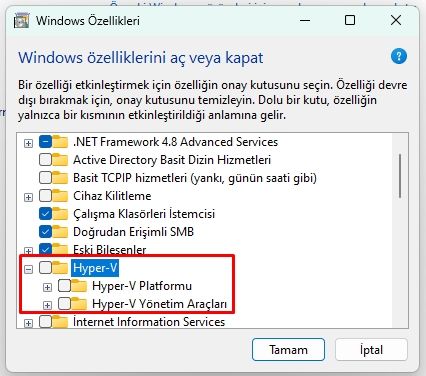 Hyper V devre dışı bırakma