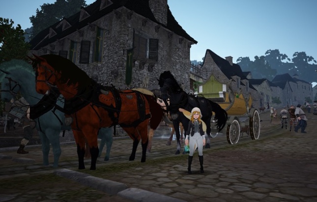 Black Desert At Nasıl Yakalanır? Hızlı At Yakalama