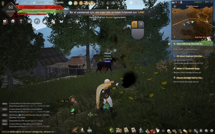 Yabani At Yakalama Resim 1