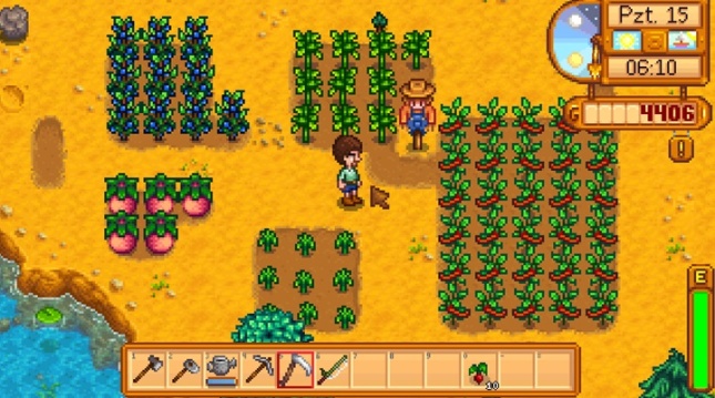 Stardew Valley Yaz Mevsimi