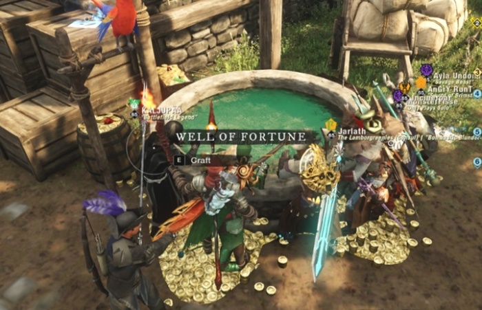 New World Vell of Fortune