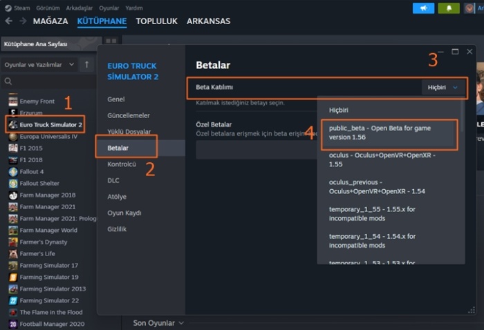 Steam oyunları beta sürüme yükseltme